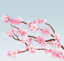  怒放樱花枝矢量