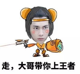 龙王的用法表情包意思