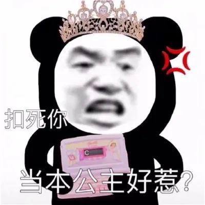  表情包本公主和你没完