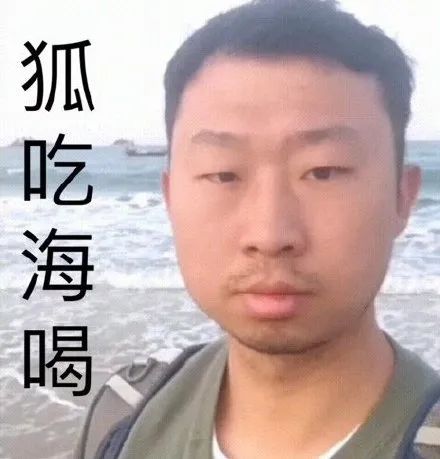 藏狐小亮是什么梗为什么叫张辰亮藏狐藏狐小亮表情包大全