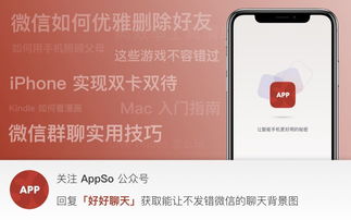  微信最火的鸭鸭表情包大集合,快来带走鸭内附资源有用功
