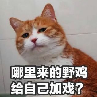  现在的00后,为发一条朋友圈连小命都不要了