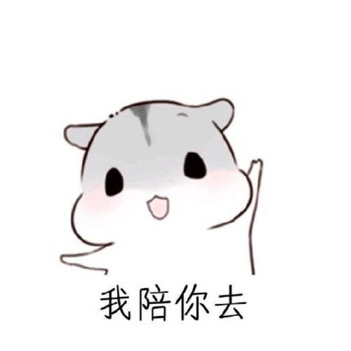  万能聊天回复,这几句话足以搞定女朋友仓鼠斗图表情包搞笑图片