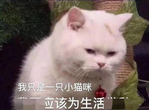  色斑,真的会引起的初老恐慌症