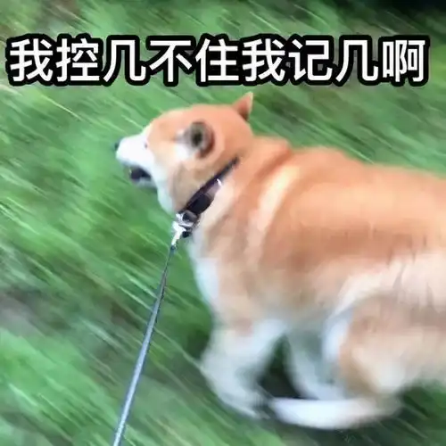  wildfieldhealth跑步真的会越跑越舒服吗