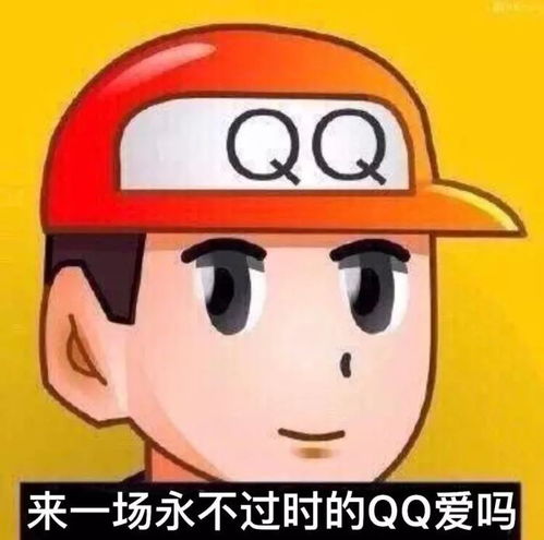  每日表情丨猪猪女孩必备