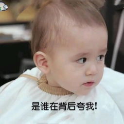 笑而不语表情包经典本特