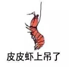  驴小玩美食记你与皮皮虾的距离,只隔了一个威海