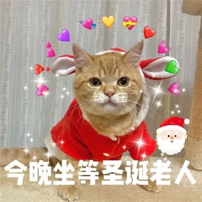  圣诞节萌娃表情今年又是一个人过圣诞