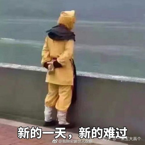  女生宿舍真的满地都是头发毛吗