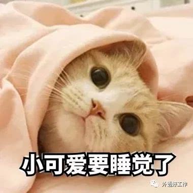  大学遗憾排行榜,比没谈恋爱更让人遗憾的原来是