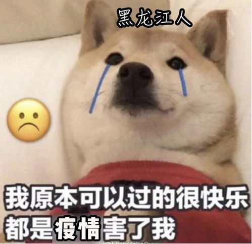  9月30日深圳无新增确诊病例黑龙江新增10例本土病例