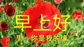  早上好的表情设计