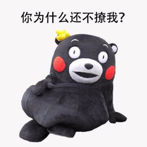  带你们打开新世界的大门