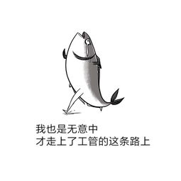  用一个表情包形容你的专业