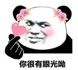  任何天气都无法阻挡漫跑曲江池的步伐