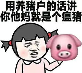  堆糖,美好生活研究所