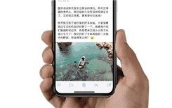  iphonex表情狗在哪