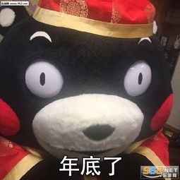  我不管你是走过南闯过北年底了把钱还我吧图片年底了把钱还一下表情包下载乐游网游戏下载