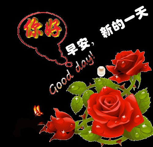  好看的早上好的祝福语图片大全,唯美早上好动态表情包