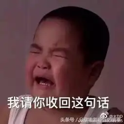 谢飞机 表情包百度云玉