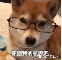 柴犬跳表情包狗子