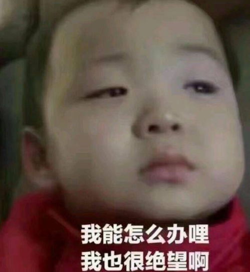  我养的不是狐狸,是青春......