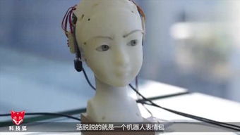 活着的表情包机器人