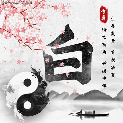  中国风姓氏头像来袭,24张太极黑白风格,打造你的专属标志