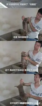  竹鼠表情包爆红竹鼠华农兄弟你才中暑你才抑郁