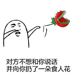  2019年我都经历些什么
