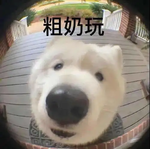  每日沙雕表情包