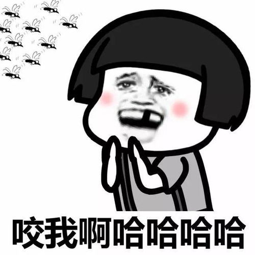  全年基本没蚊子的南方城市有哪些