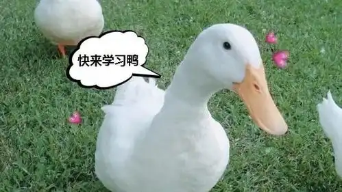 视频转换成微信表情包鸭