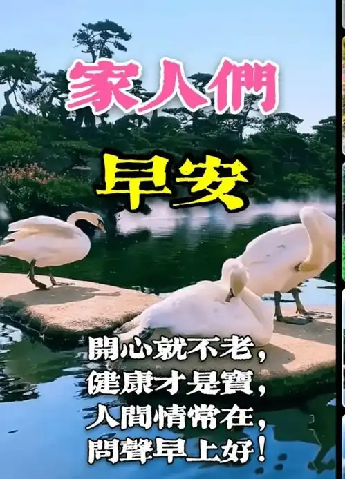 早早上好表情包好心情