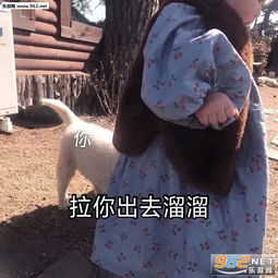  65岁老将请求出战表情包图片恋爱吗我萝莉音乔碧萝殿下表情包下载乐游网游戏下载
