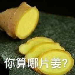 小饼干表情包动态图骂人
