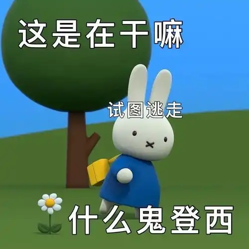  最近qq超火的米菲兔表情包,这也太可爱了吧