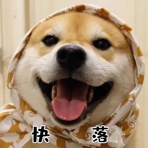  第49期汪表情丨今天不舔你一下,你都不知道什么叫变态