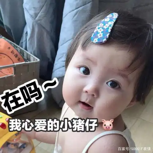 撒娇的表情包视频开心一