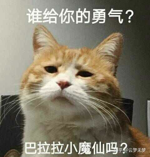  你都被那些表情包逗笑