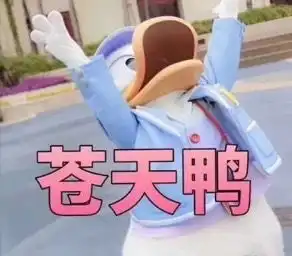 鸭表情包原版阵雨