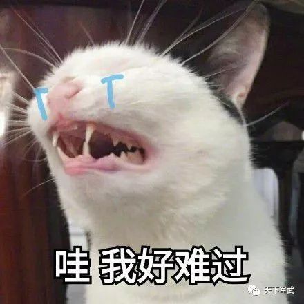  皮编全网最刺激的mao片放进来了真诚不骗人
