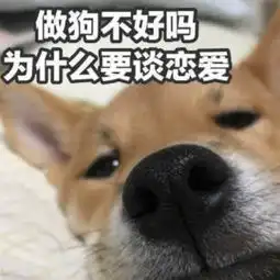  聊天有人给你发呵呵别惯他,用表情包回怼,怼到他跪下