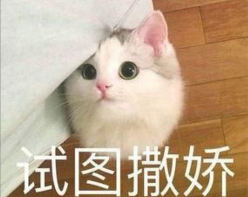  坐公交车公交卡用不了售票员还不让我下载app