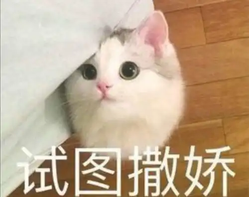 撒娇的表情包视频撒娇