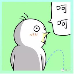  坐别人的车,应该坐什么位置感觉逼格又变高了