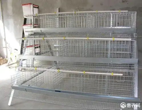 厂家直营阶梯式蛋鸡笼四门五门铁丝笼子养鸡铁丝网种鸡笼铁价格43元个惠农网