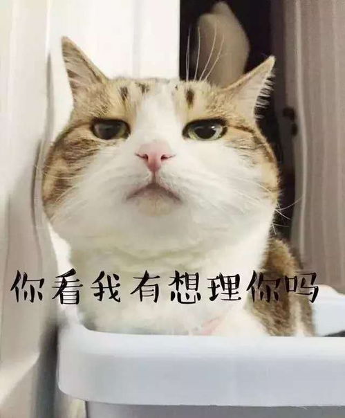  开心一刻笑话今天早上在公路旁边等车,看到两帮人在吵架