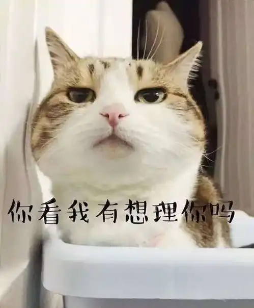  开心一刻笑话今天早上在公路旁边等车,看到两帮人在吵架